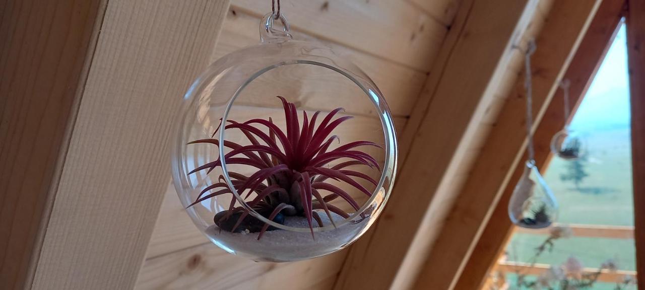 Monte Zen Villa Žabljak Kültér fotó
