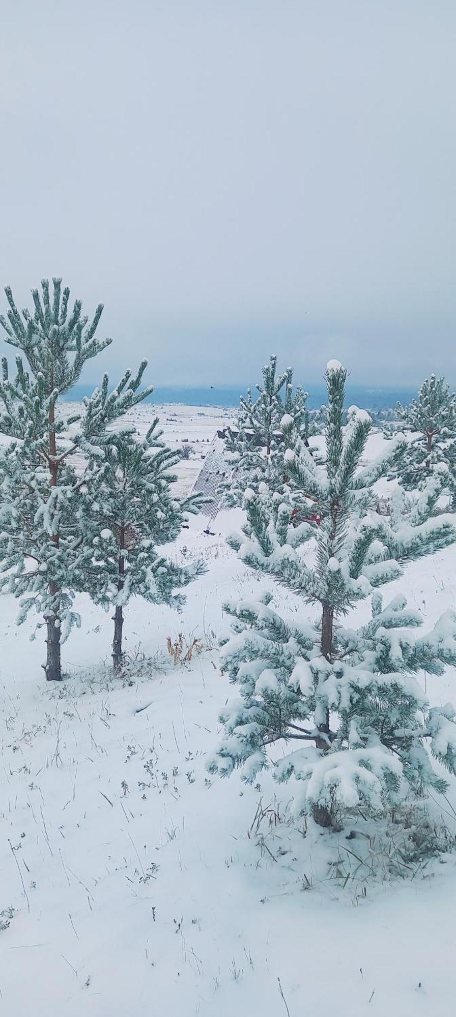 Monte Zen Villa Žabljak Kültér fotó