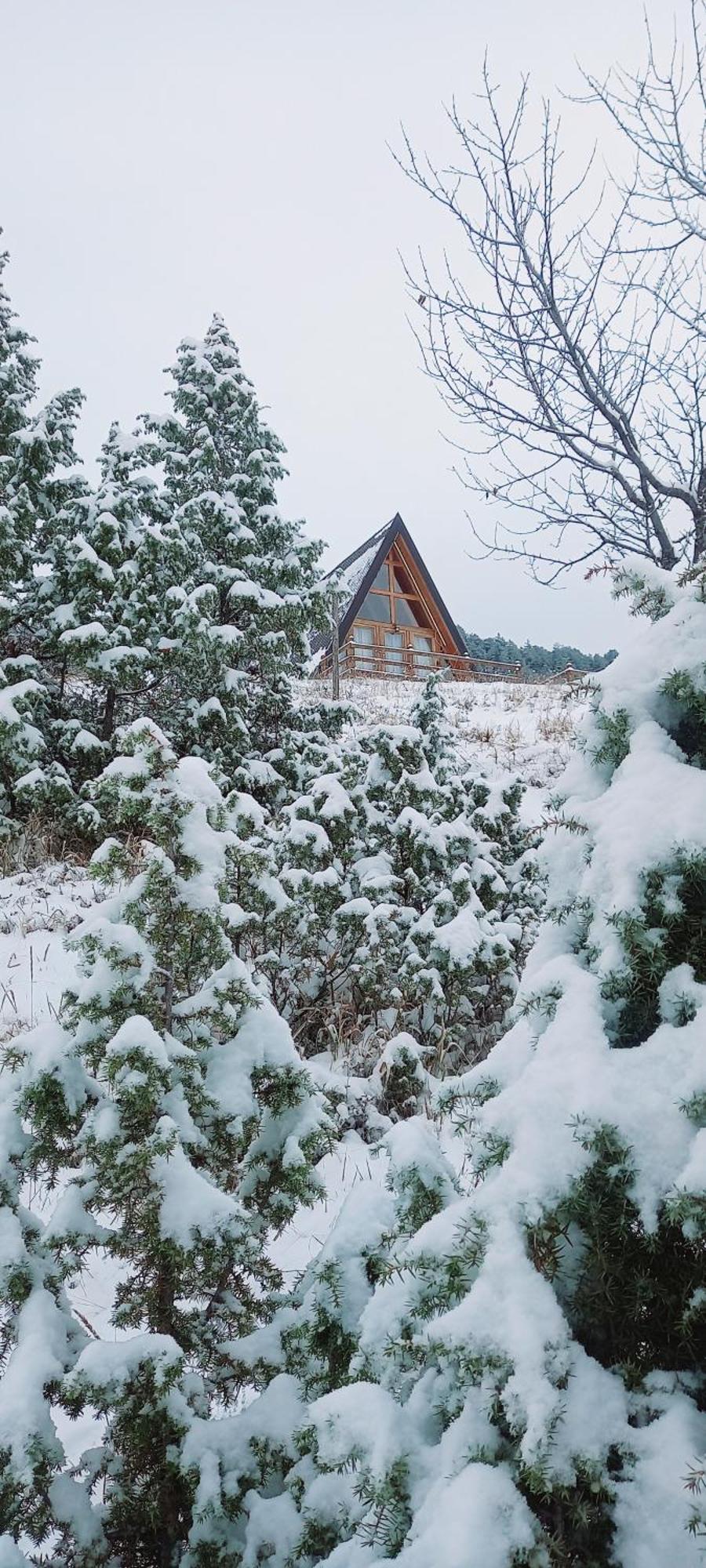 Monte Zen Villa Žabljak Kültér fotó