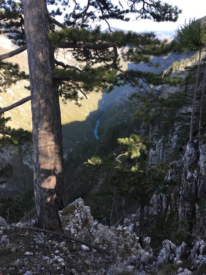 Monte Zen Villa Žabljak Kültér fotó